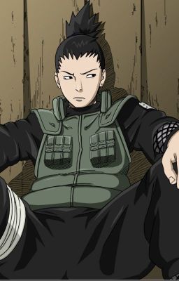 She is my king (Shikamaru x reader)