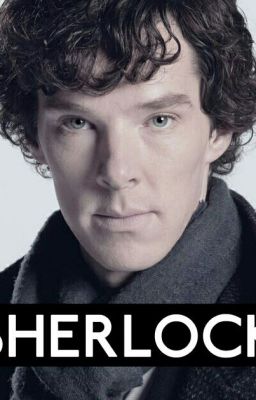 Sherlock: the Lost Cases (Sherlock x Female!Reader)