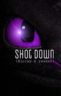Shot Down (hiccup x reader HTTYD)✔️