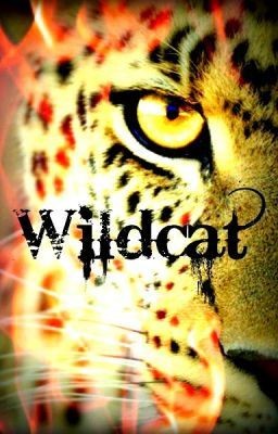 Silent Heroes: Wildcat