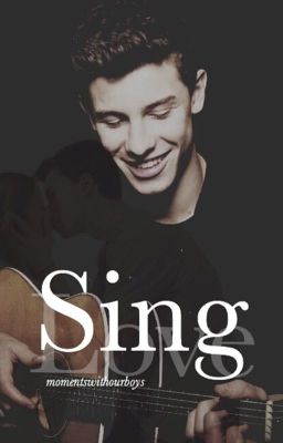 sing ;  shawn mendes