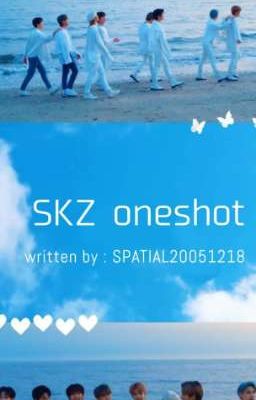 SKZ oneshot  ( stray kids)