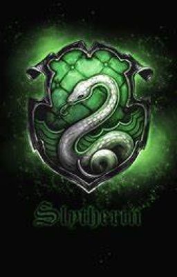 Slytherin Boys Preferences