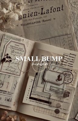 SMALL BUMP. minbin