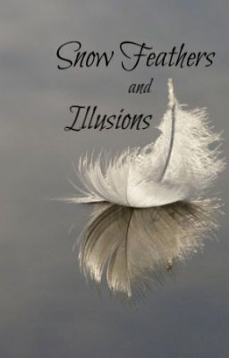 Snow Feathers and Illusions