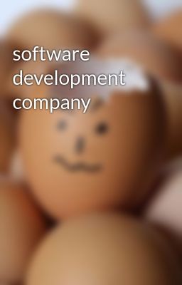 software development  company