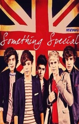 Something Special {A One Direction Fan Fiction}