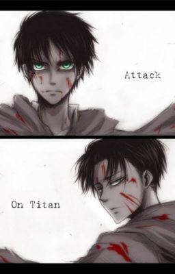 Sometimes ( Attack on titan Fanfic Eren X reader X Levi)