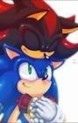 Sonadow: The Beginning to the End