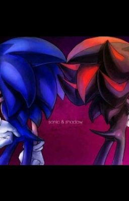 (Sonadow!) The beginning to The end.