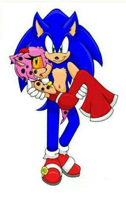 Read Stories SonAmy.exe: My dead rose {Sequel to Sonamy.exe Love Story} - TeenFic.Net