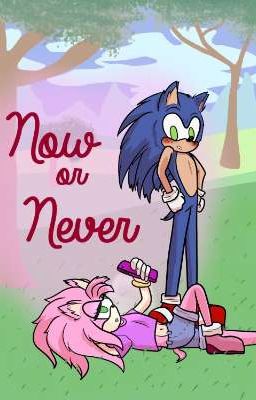 Sonamy: Now or Never