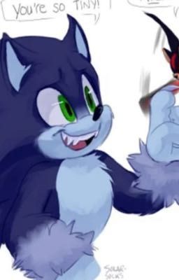 Sonic And Shadow. Forbidden Friendship.