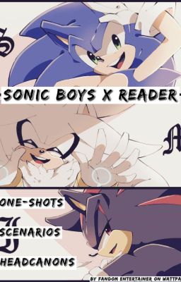 Sonic Boys X Reader