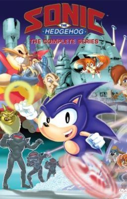 Sonic The Hedgehog (SatAM) X Reader