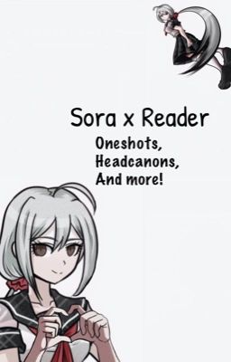 Read Stories Sora x Reader Oneshots || SDRA2 - TeenFic.Net