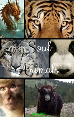 Soul Animals