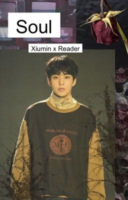 • Soul • Xiumin x Reader •