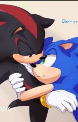 •Step brothers• |~Sonadow~|