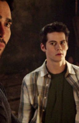 Sterek Two-Shot