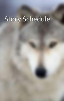 Story Schedule