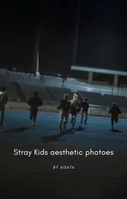 Stray Kids aesthetic photoes