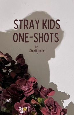 Stray kids One-shots