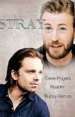 Stray (Steve Rogers XReader XBucky Barnes)