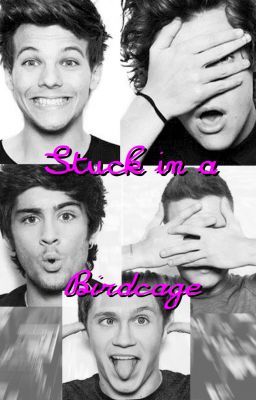 Stuck in a bird cage ♮ Larry Fanfic