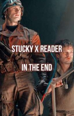 Stucky x Reader