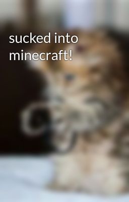 sucked into minecraft!