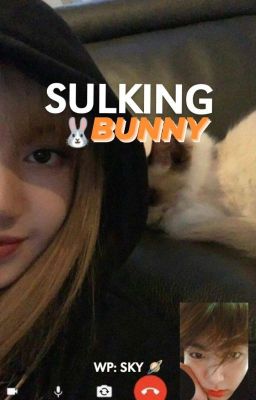 Sulking Bunny • liskook