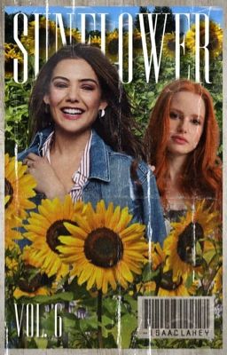 sunflower, vol. 6 ↝ ᵍʳᵃᵖʰⁱᶜ ᵗᵘᵗᵒʳⁱᵃˡˢ