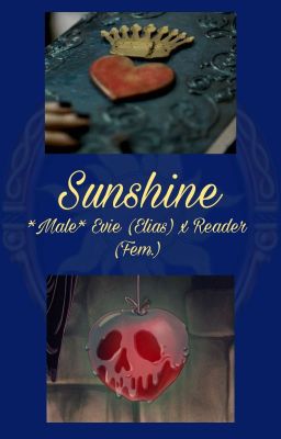 Sunshine || *Male* Evie (Elias) x Reader (Fem.)