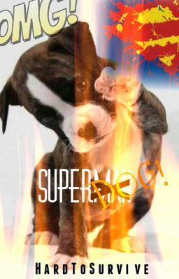 SuperDog the beginning