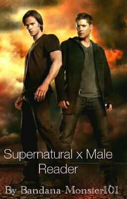 Supernatural x Male!Reader Season 1
