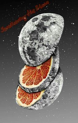 Read Stories Swallowing the Moon - TeenFic.Net