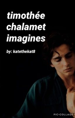 t. chalamet imagines