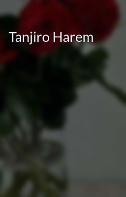 Tanjiro Harem