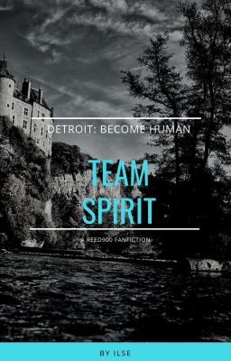 Team Spirit - a Reed900 fanfiction