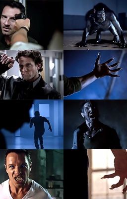 Teen Wolf Peter Hale finds his mate