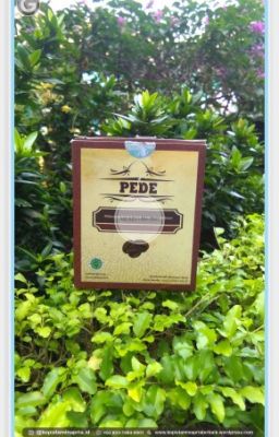 TERLARIS!!! +62 823-1484-0001 | Harga Kopi Purwaceng Dieng di Jakarta