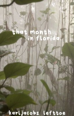 that month in florida - dreamnotfound/gream