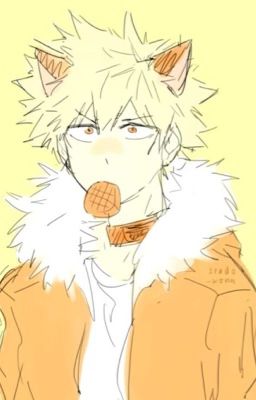 The Actual Bakugou??? (Neko Bakugou x 1A Boys)