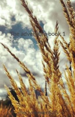 The adventure book 1