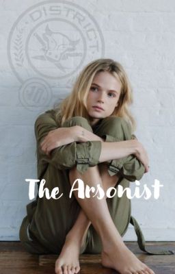 The Arsonist (Finnick Odair/OC)