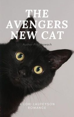 The Avengers New Cat  | Loki Laufeyson Romance | COMPLETE