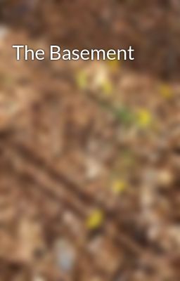 The Basement