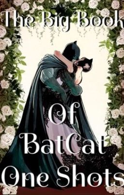 The Big Book Of BatCat One Shots