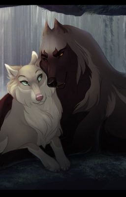 The Black and White wolf anime Love Story (ON HOLD!)